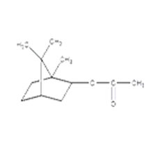 精细化工试制品——乙酸异龙脑酯